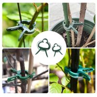 Plastic plant clip, set of 10 pieces, size 4x2.5cm, plant clip Clip to support the tree, dark green