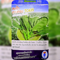 คะน้าดาวทอง ทีซี635 Chinese Kale เพือนเกษตร