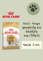 Beagle Adult / Royal Canin 3 กก.