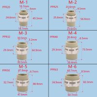 1ชิ้นปลั๊ก DN15 DN20 DN25พลาสติก PPR ทองเหลืองนิเกิลชุบสองหัวข้อต่อแบบชนข้อต่อท่อน้ำละลายร้อน1/2 "3/4" 1 "นิ้ว