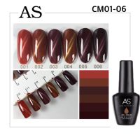 สีเจล As 15ml. ขวดดำ CM 01-06 Cat eye แม่เหล็กน้ำตาล