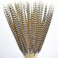 ขนไก่ฟ้าธรรมชาติสำหรับ Crafts12-72 "ขนหางยาวไม้ตกแต่งขนนกตกแต่งขนนกยาวอุปกรณ์ตกแต่ง