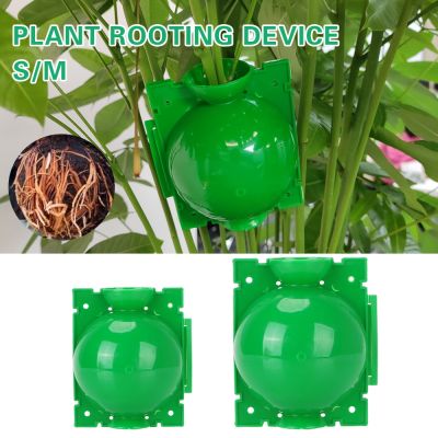 Plant Root Growing Box Grafting Rooting Plant Cultivation Supplies for Garden Breeding Growing Box Plant Rooting Ball