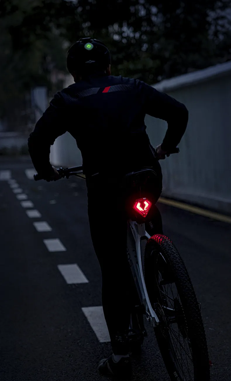 rockbros r1 laser