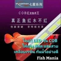 ❗❗ลดกระหน่ำ❗❗ ไฟ LED รุ่น COB ไฟแรง แสงสวย สีสด เคลือบเรซินกันน้ำ ไฟอโลวน่า หมอสี ปลาสวยงามทุกขนิด   ตู้ปลา ปั๊มน้ำ  ปั๊มลมwpd1.4750[สินค้ามาใหม่]