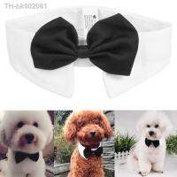 ﹉ Pet Bow Tie