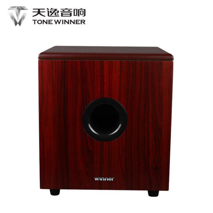 Tianyi SUB10TDN professional active home theater subwoofer 10 inch