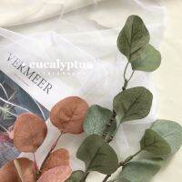 ต้นไม้ปลอม " eucalyptus " พร้อมส่ง