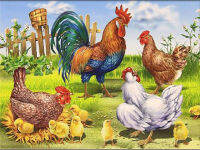 Animal Chicken DIY Cross Stitch 11CT Embroidery Kits Needlework Craft Set Printed Canvas Cotton Thread Home Decoration For Room