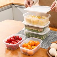 hot【cw】 Large Food Storage Containers Airtight Leak Proof Organizers with Lids for Leftover Bowl Fruit Keep