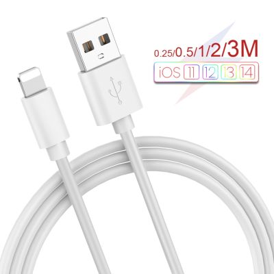 2A Fast Charging USB Cable For iPhone 13 12 11 XS XR X 8 7 6S 5S Cord Quick Charge Mobile Phone Cable Fast Data Charger cable Wall Chargers