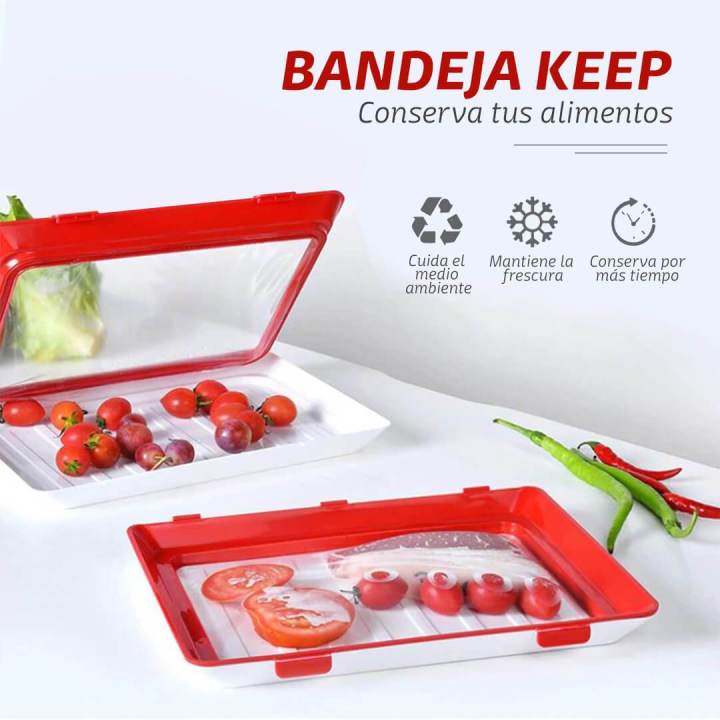 Creative Food Preservation Tray Eco Food Fresh Keeping Fresh Spacer  Organizer Food Preservate Reusable Refrigerator Food Storage