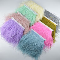 Wholesale 10Meters Ostrich Feather Trim Ribbon for Skirtdress 8-10CM Costume Black White Ostrich Feathers for Crafts DIY Plumes