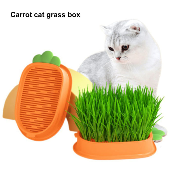 ถาดเพาะเมล็ดพืชไร้ดินกล่องหญ้าแมวถาดเพาะปลูกสำหรับปลูกสวนในบ้านเรือนกระจก