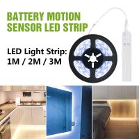 Waterproof LED Strip 2835 Battery Light Sensing 5V Led Strip Light Cabinet Stairs 1M 2M 3M Smart Turn ON/OFF PIR Motion Sensor LED Strip Lighting