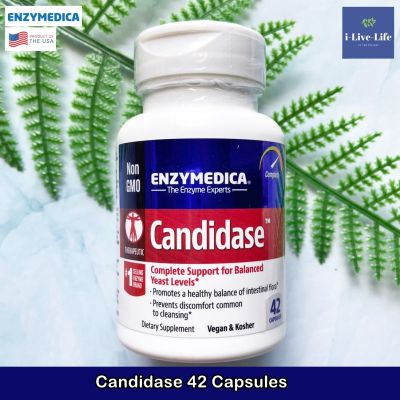Enzymedica - Candidase 42, 84 or 120 Capsules อาหารเสริม แคนดิดาส