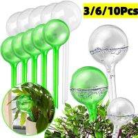 【CC】 3/6/10 Pcs Watering Bulbs Globes Plastic Balls Garden Device Drip Irrigation System