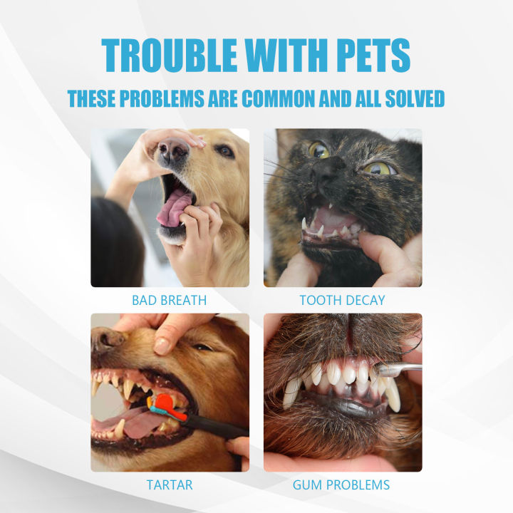 น้ำยาดับกลิ่นทาร์ทาร์60กรัมสำหรับทำความสะอาดยาสีฟันกินได้แมวลิปกินได้ช่องปากสุนัขหายใจคล่อง