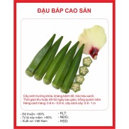 Hạt giống Đậu Bắp Xanh 10gram