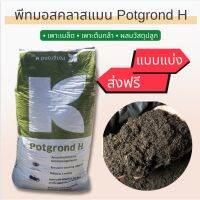 ?ส่งฟรี?พีทมอสคลาสแมน Potgrond H ผสมกรีนไฟเบอร์ นำเข้าจากเยอรมัน แบบแบ่ง