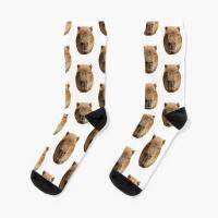 【Sock shop】Capybara ใบหน้าลูกเรือถุงเท้าที่ดีที่สุดระบายอากาศบุรุษการ์ตูนผ้าฝ้ายผู้หญิงสีดำสบายฤดูหนาวฤดูใบไม้ร่วงสั้นแบบตลกสาว