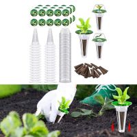 24x สำหรับ Aerogarden โรงงานไฮโดรโปนิกส์ไร้ดิน Grow ฟองน้ำดูดซับน้ำดี