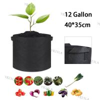 12 Gallon Hand Held Plant Thicken Grow Bags Fabric Pot Jardim Home Gardening Flowers Plant Growing Grow Garden ToolsYB23TH