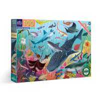 eeBoo Love of Sharks 100 Pc Puzzle จิ๊กซอว์รูปปลาฉลามสายพันธุ์ต่างๆ แบบ 100 ชิ้น