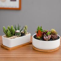 Creative Round Rectangular Flower Pot Home Decoration Green Plants Bonsai White Porcelain Planter Succulent Flowerpots Ornament