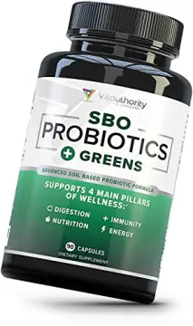 Lifted Naturals Probiotics - SBO Mood Boost Probiotic - Spore/Soil-Based -  Digestion & Mood Support - Histamine-Free - Natural Mood Support - 60 Day