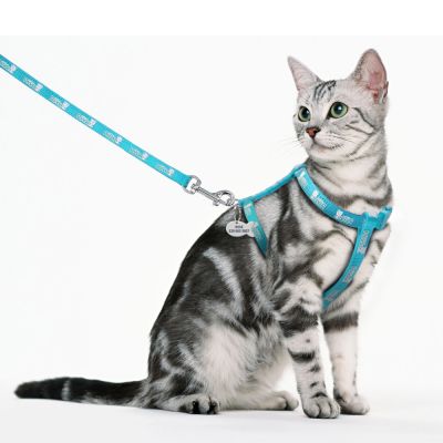 ❇┋ Personalized Cat Kitten Harness Nylon Cat Tag Harness and Leash Anti-Lost Free Engraved Fish Tag Name Phone Number
