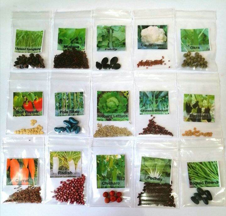 Hybrid Vegetable Seeds (15 in 1 pack) Lazada PH