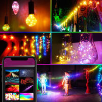 Hot Smart Life WiFi RGBIC ไฟคริสต์มาส Strip Holiday Decor 5V USB RGB Fairy String Dreamcolor Chasing Effect Alexa โคมไฟ