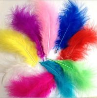 South Africa imports color dyeable feather craft feather full velvet wedding feather decoration bobo ball feather