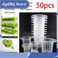 Dgdfhj Shop Plant Grow Net Nursery Pots Hydroponic Colonization Mesh Cup Vegetable Plant Soilless Greenhouse Plastic Basket Holder