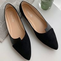 【QZY Department Store】35-40รองเท้าหนัง Splice สีรองเท้า Ballerina Slip On ผู้หญิงแฟลต2020แฟชั่น Pointed Toe รองเท้าบัลเล่ต์ Buty Damskie