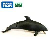 Takara Tomy โมเดลสัตว์ป่าโลกเจ้าป่าเสือแอคชั่นฟิกเกอร์ลิงกระต่ายม้าลายตุ๊กตาเด็กทารก S