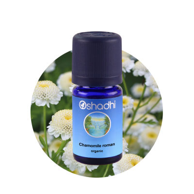 Oshadhi Chamomile roman organic Essential Oil น้ำมันหอมระเหย (1 ml)