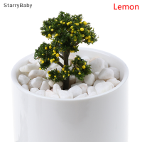 StarryBaby 1PC Mini Garden เครื่องประดับขนาดเล็กเรซิ่นผลไม้ต้นไม้หัตถกรรม Fairy Garden Decor