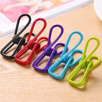 10pcs Excellent Quality Stainless Steel Clothes Peg Towel Socks Clip Pants Clothes Underwear Clips Small Metal Clips for Hanger Clothes Hangers Pegs