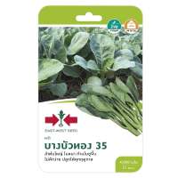 คะน้าบางบัวทอง 35 ศรแดงCHINESE KALE SEED EAST-WEST SEED BANGBUATHONG 35 **บริการเก็บเงินปลายทาง**