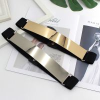 【CW】 Fashion Gold Belts Elastic Stretch Female Waistband Metal Plate Thin Ladies Sweater Coat Accessories