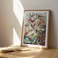 Tropical Forest Lizard Bird ดอกไม้ใบ Wall Art พิมพ์ภาพวาดผ้าใบ Nordic โปสเตอร์สำหรับตกแต่งห้องนั่งเล่น