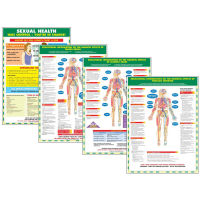 2Pcs Human Anatomy Diagram 40X60ซม. (16X24นิ้ว) โปสเตอร์การ์ตูน Medical โปสเตอร์แผนภูมิกล้ามเนื้อเส้นประสาท HD พิมพ์ Frameless Drawing Core