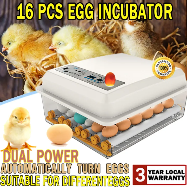 16 Egg Incubator Fully Automatic Egg Incubator Intelligent Digital