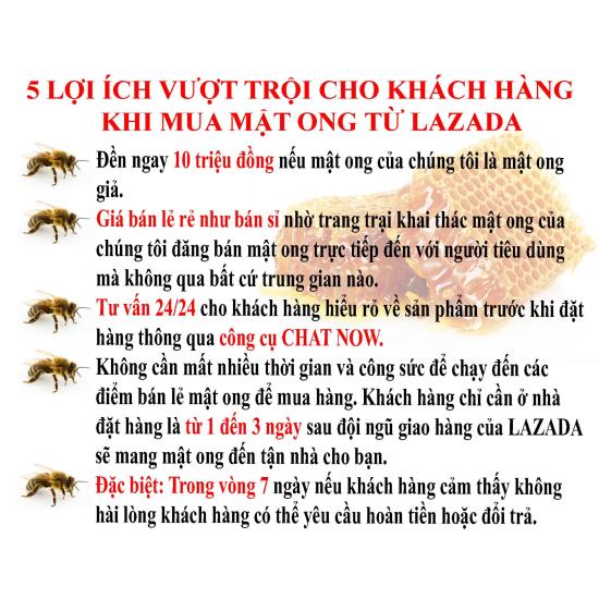 Mật ong nguyên chất rừng tây nguyên 1 lít giá gốc, bao đủ lít gian hàng - ảnh sản phẩm 4