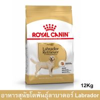 [12Kg] Royal Canin Labrador Retriever Adult Dog Food รอยัล คานิน อาหารสุนัขโต พันธุ์ลาบราดอร์ รีทรีฟเวอร์ อายุ 15 เดือนขึ้นไป 12กก. (1 กระสอบ)