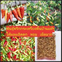 เมล็ดพันธุ์พริกกระเหรี่ยงแท้ๆ..ดก..เผ็ดจัดจ้าน.. ซองละ 200 เมล็ด