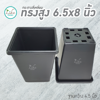 กระถางสี่เหลี่ยมทรงสูง 6.5 x 8 นิ้ว สีดำ ใบละ 19 บาท