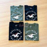 เสื้อยืดคอกลม เสื้อยืดงานปัก ผ้านิ่ม Hollister แท้ ?